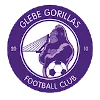 Glebe Gorillas FC