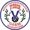 UMF Vidir